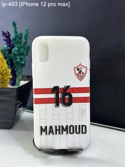 iPhone 12 Pro Max — IP-493