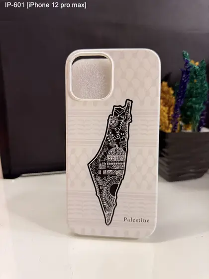 iPhone 12 Pro Max — IP-601