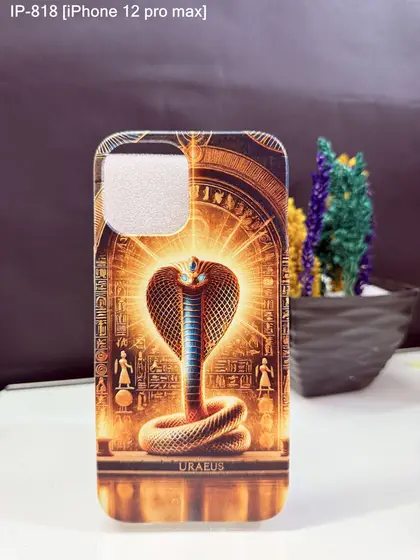 iPhone 12 Pro Max — IP-818